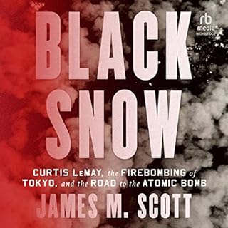 Black Snow Audiobook By James M. Scott cover art