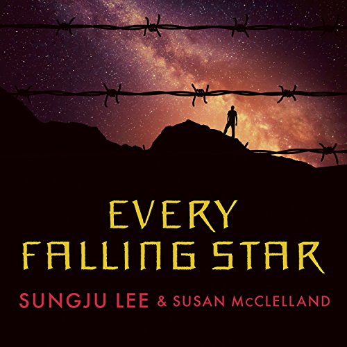 Every Falling Star Titelbild