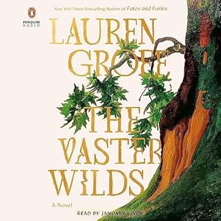 The Vaster Wilds Audiolibro Por Lauren Groff arte de portada