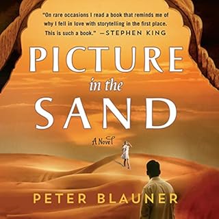 Picture in the Sand Audiolibro Por Peter Blauner arte de portada