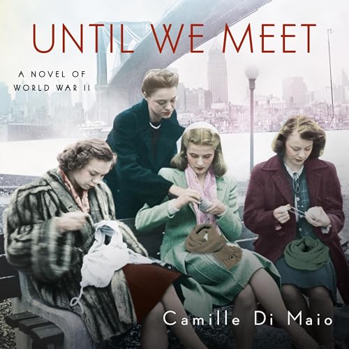 Until We Meet Audiolibro Por Camille Di Maio arte de portada