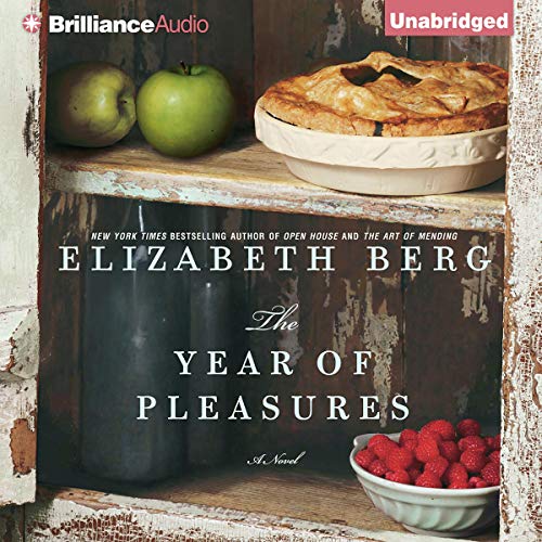 The Year of Pleasures Audiobook By Elizabeth Berg cover art