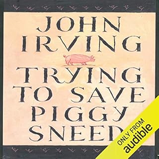 Trying to Save Piggy Sneed Audiolibro Por John Irving arte de portada
