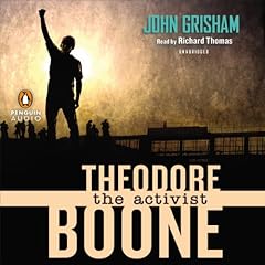 The Activist Audiolibro Por John Grisham arte de portada