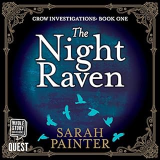 The Night Raven Audiolibro Por Sarah Painter arte de portada