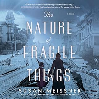 The Nature of Fragile Things Audiolibro Por Susan Meissner arte de portada