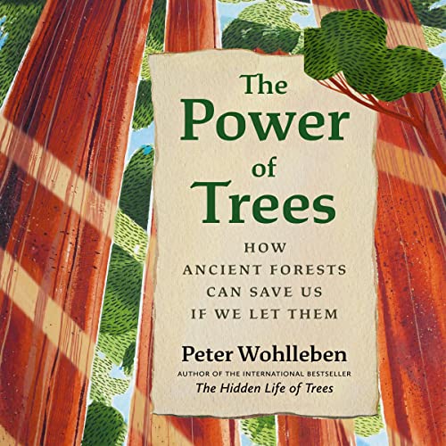 The Power of Trees Audiolibro Por Peter Wohlleben, Jane Billinghurst arte de portada