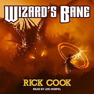 Wiz Biz Series 1 Audiobook By Rick Cook cover art