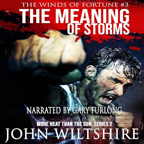 The Meaning of Storms Audiobook By John Wiltshire cover art