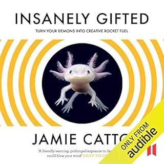 Insanely Gifted Audiobook By Jamie Catto cover art