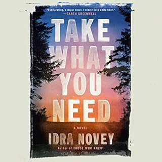 Take What You Need Audiolibro Por Idra Novey arte de portada