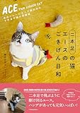 【特典版：「エース君＆おむすびさん ステッカー」つき】二本足の猫・エースのごきげん日和