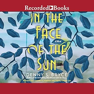 In the Face of the Sun Audiolibro Por Denny S. Bryce arte de portada