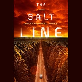 The Salt Line Audiobook By Holly Goddard Jones cover art