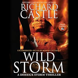 Wild Storm Audiobook By Richard Castle cover art