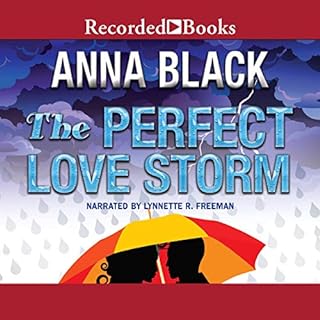 The Perfect Love Storm Audiolibro Por Anna Black arte de portada