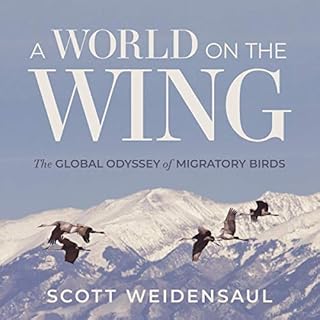 A World on the Wing Audiobook By Scott Weidensaul cover art