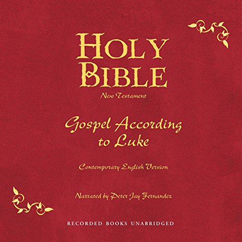 Holy Bible, Volume 24 Audiobook By American Bible Society cover art