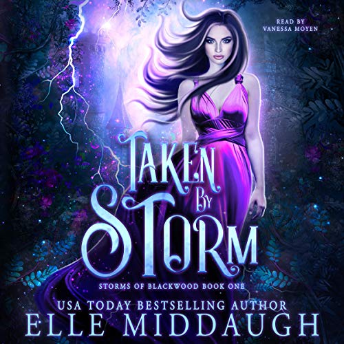 Taken by Storm Audiobook By Elle Middaugh cover art