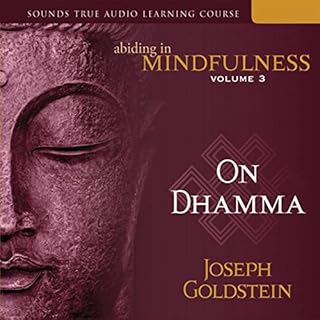 Abiding in Mindfulness, Vol. 3 Audiolibro Por Joseph Goldstein arte de portada