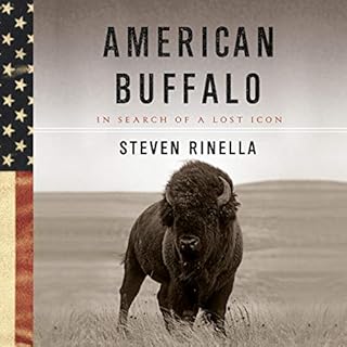 American Buffalo Audiolibro Por Steven Rinella arte de portada