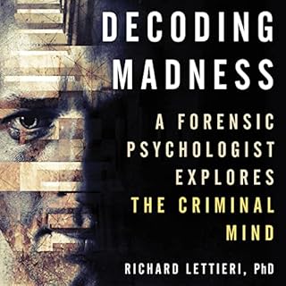 Decoding Madness Audiolibro Por Richard Lettieri arte de portada