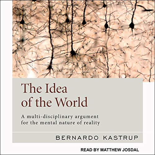 The Idea of the World Audiolibro Por Bernardo Kastrup arte de portada