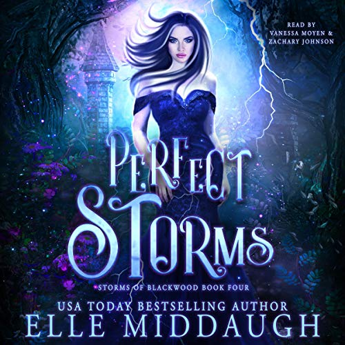 Perfect Storms Audiobook By Elle Middaugh cover art