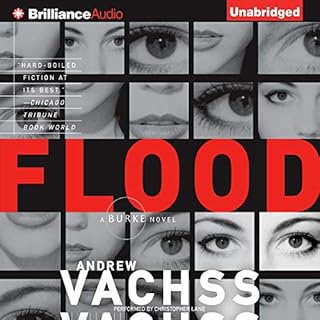 Flood Audiolibro Por Andrew Vachss arte de portada