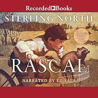 Rascal Audiolibro Por Sterling North arte de portada