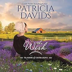 The Wish Audiolibro Por Patricia Davids arte de portada