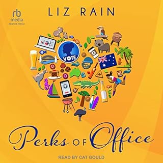 Perks of Office Audiolibro Por Liz Rain arte de portada