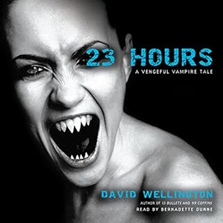 23 Hours Audiobook By David Wellington cover art