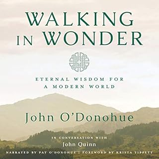 Walking in Wonder Audiolibro Por John O'Donohue, Krista Tippett - foreword arte de portada