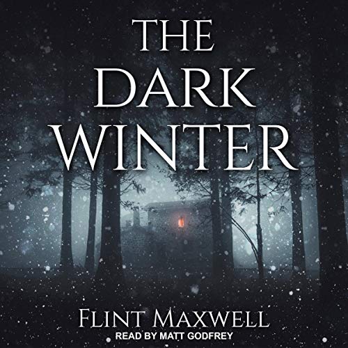 The Dark Winter Audiobook By Flint Maxwell cover art
