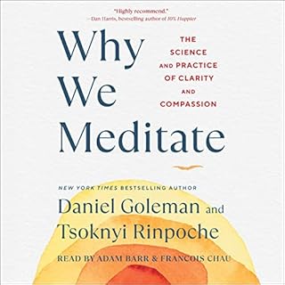 Why We Meditate Audiolibro Por Daniel Goleman, Tsoknyi Rinpoche arte de portada