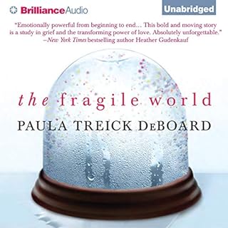 The Fragile World Audiolibro Por Paula Treick DeBoard arte de portada