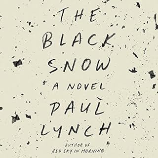 The Black Snow Audiolibro Por Paul Lynch arte de portada