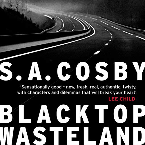 Blacktop Wasteland cover art