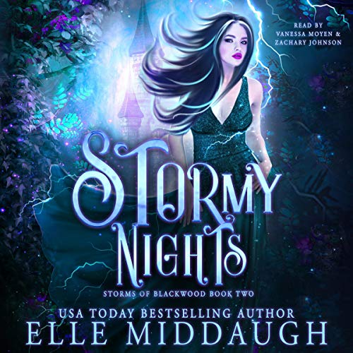 Stormy Nights Audiobook By Elle Middaugh cover art