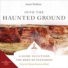 Into the Haunted Ground Audiolibro Por Anam Thubten arte de portada