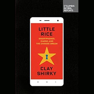 Little Rice Audiolibro Por Clay Shirky arte de portada