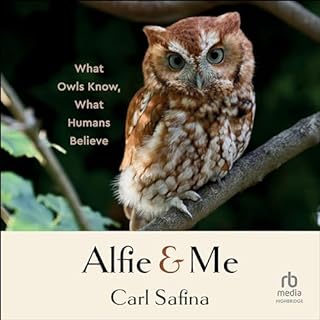 Alfie and Me Audiolibro Por Carl Safina arte de portada
