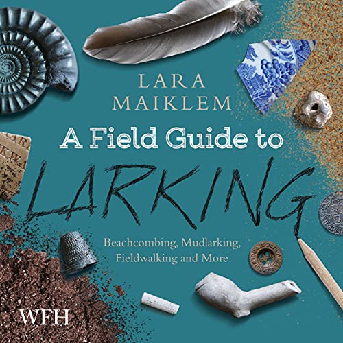 A Field Guide to Larking Audiobook By Lara Maiklem cover art