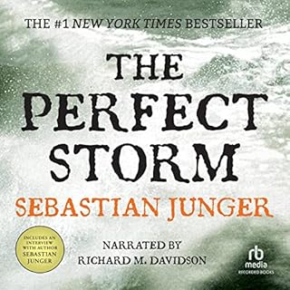 The Perfect Storm Audiolibro Por Sebastian Junger arte de portada