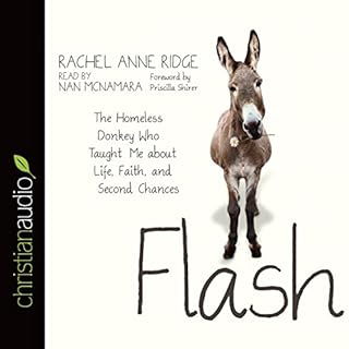 Flash Audiolibro Por Rachel Anne Ridge arte de portada