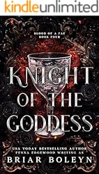 Knight of the Goddess: A Dark Fae Fantasy Romance (Blood of a Fae Book 4) (English Edition)