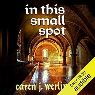 In This Small Spot Audiolibro Por Caren J. Werlinger arte de portada