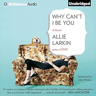 Why Can't I Be You Audiobook By Allie Larkin cover art