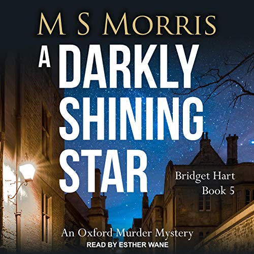 A Darkly Shining Star Audiolibro Por M S Morris arte de portada